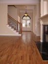 Luxury Living Room with Fireplace and Foyer 3