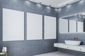 Luxury loft bathroom with three blank banner