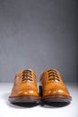 Luxury Male Full Broggued Tan Leather Oxfords Shoes Placed Over