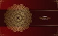 Luxury mandala background for book cover,wedding invitation Premium Vector