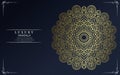 Luxury mandala background for book cover,wedding invitation Premium Vector