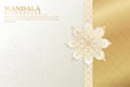 Luxury mandala background concept