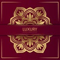 Luxury mandala background 013