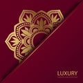 Luxury mandala background 011 Royalty Free Stock Photo