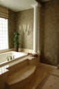 Luxury master bath Royalty Free Stock Photo