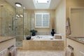 Luxury master bath with skylight