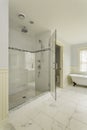 Luxury Master Bathroom with Enclosed Glass Shower Royalty Free Stock Photo