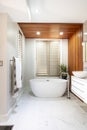 Luxury Master En suite bathroom - renovation. Wood accent wall, bathtub and plant. Royalty Free Stock Photo