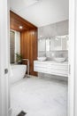 Luxury Master En suite bathroom - renovation. Wood accent wall, bathtub and plant. Royalty Free Stock Photo