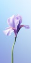 Luxury Mobile Wallpaper: Elegant Iris On Blurred Background