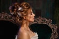 Luxury model in vintage style. Beautiful woman with a stunning hairstyle and make-up in a rococo dress. Girl at the Masquerade