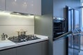 Luxury modern kitchen interior, oven`s door opened