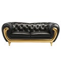 Luxury modern leather black and gold sofa on the white background