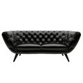 Luxury modern leather black sofa on the white background