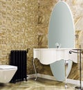 Luxury modern style decorated toilet Royalty Free Stock Photo