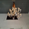 Luxury Modern Style Large Crystal Chandelier