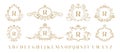 Luxury monogram. Vintage ornamental decorative monograms, retro luxury golden wreath emblem and baroque heraldic wedding Royalty Free Stock Photo