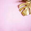 Luxury natural background with golden tropical leaves. Gold monstera leaf on pastel pink background. Clean minimal flat lay design