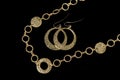 Luxury Necklace + Earing Royalty Free Stock Photo