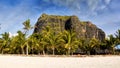 Luxury Palm Beach Resort, Mauritius Island Royalty Free Stock Photo