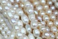Luxury pearl texture Royalty Free Stock Photo