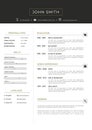 Luxury personal vector resume - cv