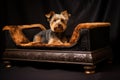 luxury pet bed with ornate engravings