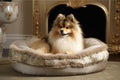 luxury pet bed with sumptuous fur and embroidered cushion