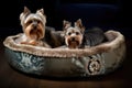 luxury pet bed with sumptuous fur and embroidered cushion