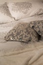 Luxury pillows Royalty Free Stock Photo