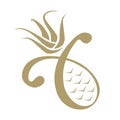 Luxury pineapple icon