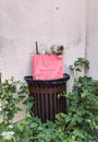 Luxury pink color bag in the trash bin on the street. France street luxury stylish paper bag with trash. Caring about