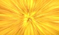 luxury ,power gold sunburst background