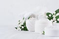 Luxury pure white cosmetics set of natural products for body and skin care - cream, salt, scrub and small flowers on white wood. Royalty Free Stock Photo