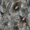 Luxury quartzite stone texture. Seamless square background, tile