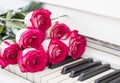 Luxury red roses on a piano. Bouquet of red roses and piano Royalty Free Stock Photo