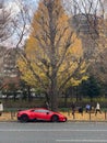 Luxury red sports car parked at the side of a street in Tokyo, Japan. Royalty Free Stock Photo