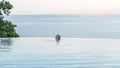 Luxury resort with infinity edge pool and a man traveler in lying down in swimming pool water enjoying summer holiday Royalty Free Stock Photo