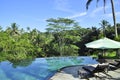 Luxury retreat spa swimming pool in the middle of the tropical forrest Royalty Free Stock Photo