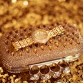 Luxury rich golden wristwatch and purse, on golden sequins - spa