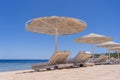 Luxury sand beach with beach chairs and white straw umbrellas in tropical resort in Red Sea coast in Egypt, Africa Royalty Free Stock Photo