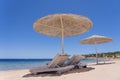 Luxury sand beach with beach chairs and white straw umbrellas in tropical resort in Red Sea coast in Egypt, Africa Royalty Free Stock Photo