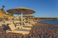 Luxury sand beach with beach chairs and white straw umbrellas in tropical resort in Red Sea coast in Egypt, Africa Royalty Free Stock Photo