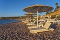 Luxury sand beach with beach chairs and white straw umbrellas in tropical resort in Red Sea coast in Egypt, Africa Royalty Free Stock Photo