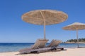 Luxury sand beach with beach chairs and white straw umbrellas in tropical resort in Red Sea coast in Egypt, Africa Royalty Free Stock Photo