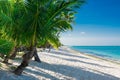Luxury sandy beach with coconut palms and blue ocean. Holiday tropical banner Royalty Free Stock Photo