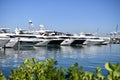 Luxury sea boats docked in yacht berth in Miami, USA Royalty Free Stock Photo