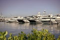 Luxury sea boats docked in yacht berth in Miami, USA Royalty Free Stock Photo