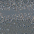 Luxury silver grey background with metal waves metallic foil backdrop. Golden movement with wavy