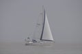 A luxury speed boat on the lake ontario